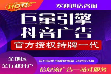 百度竞价包年推广的典型案例与效果展示